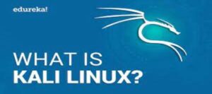 What is Kali Linux?